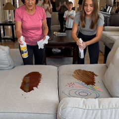 Foam Spray and Wipe Cleaning Action